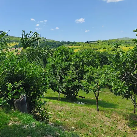 Casa Tone Tatil Evi *