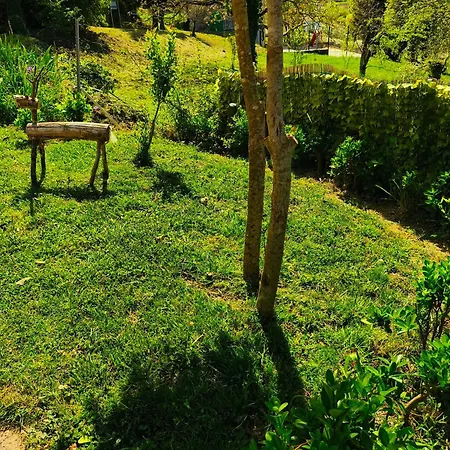 Casa Tone بيت للعطل *